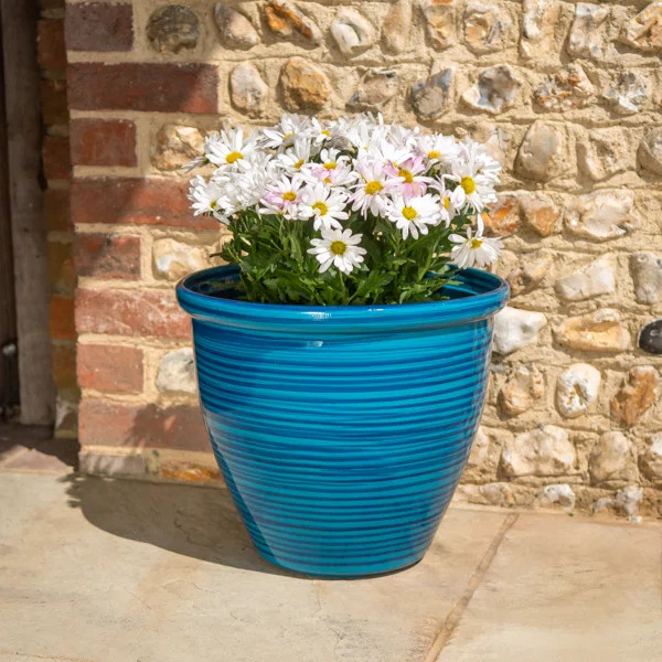 Beideman Plastic Pot Planter | Wayfair North America