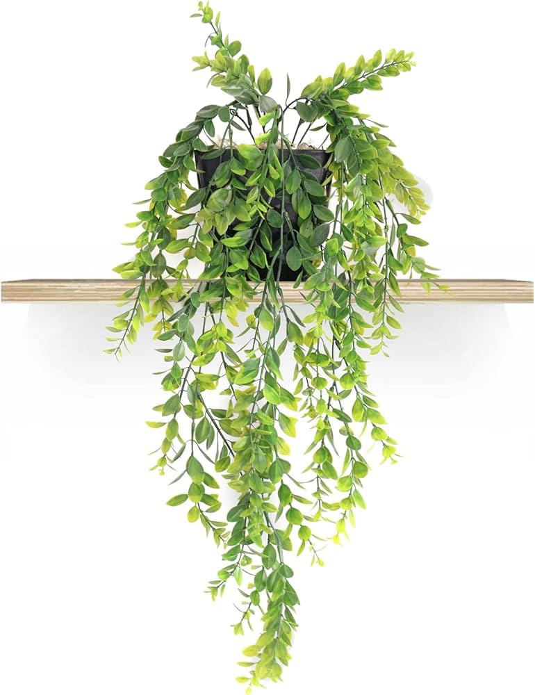 Planta Artificial Pendente com Vaso Preto Incluso (Arranjo Pronto) - Planta Artificial Caída par... | Amazon (BR)