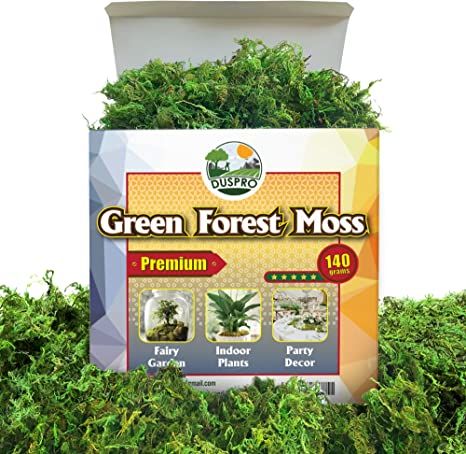 DUSPRO Green Moss for Crafts, Artificial Moss for Potted Plants, Decorative Moss for Table Center... | Amazon (US)