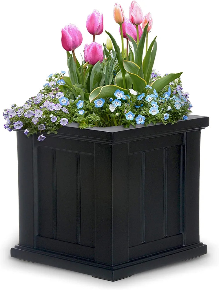 Mayne 4836B Planter, 14 -Inch, Black | Amazon (US)