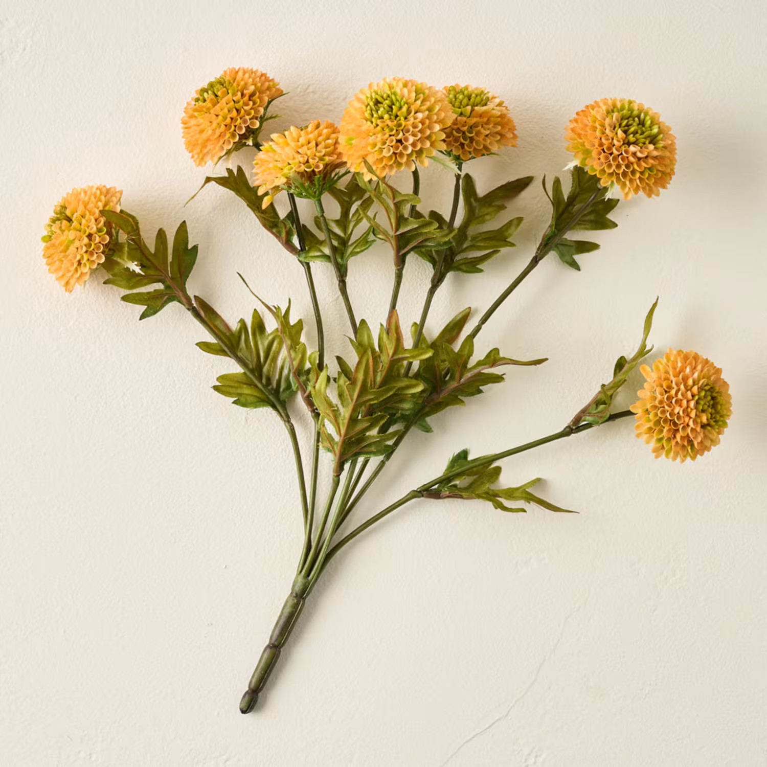 Yellow Zinnia Bundle | Magnolia