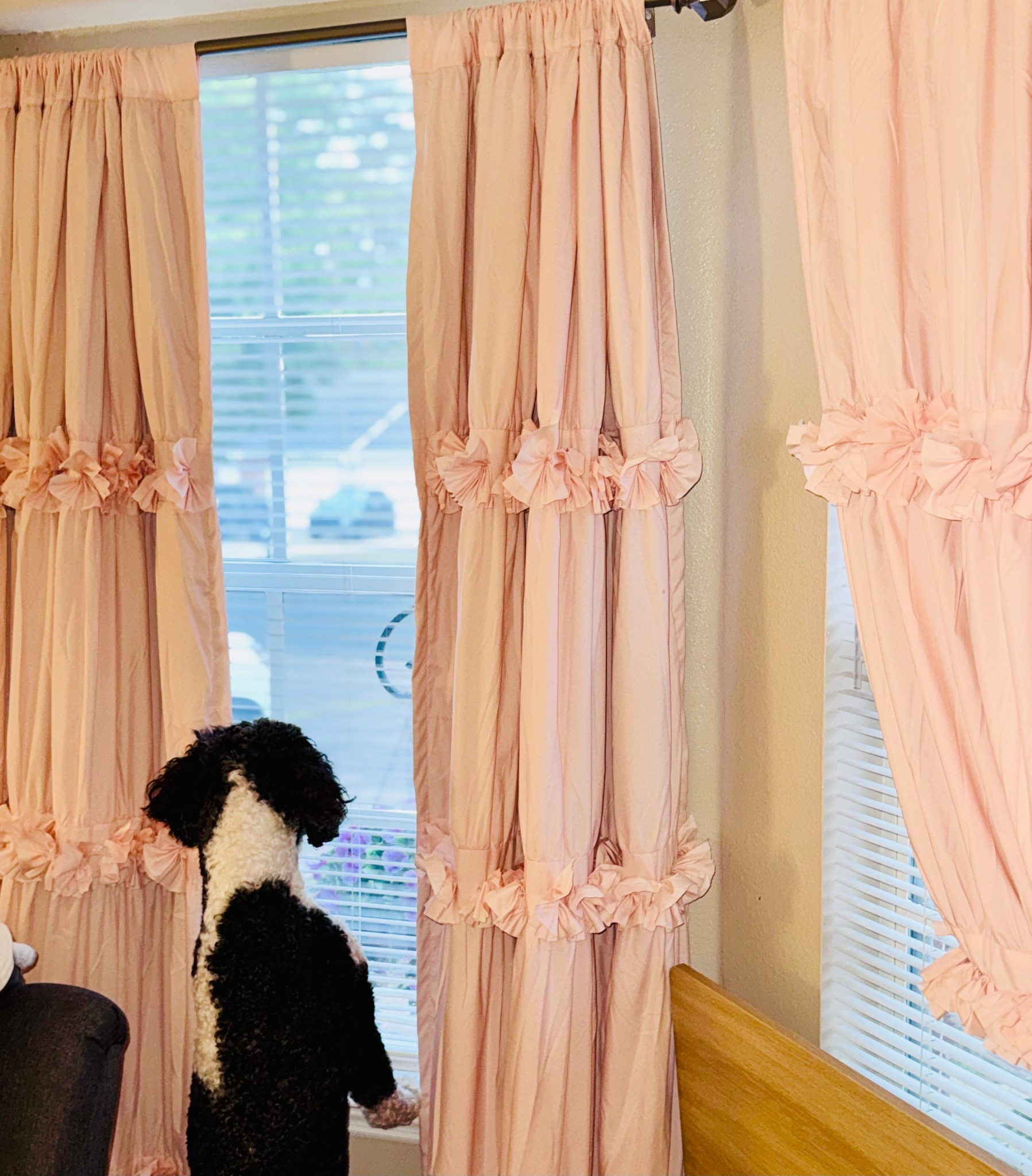 The most dreamiest curtains for a little girls room! 
