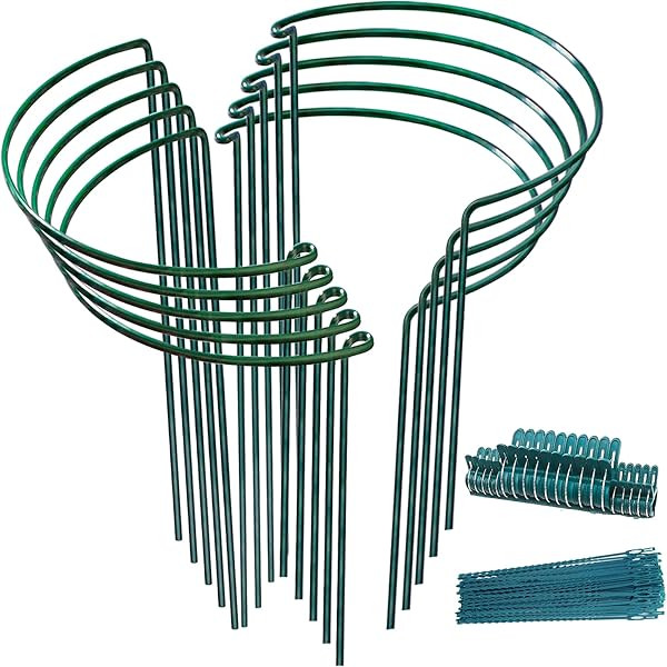 6pack Garden Plant Support Stake 10" Wide x 16" High Half Round Metal Garden Plant Support Ring Bord | Amazon (US)
