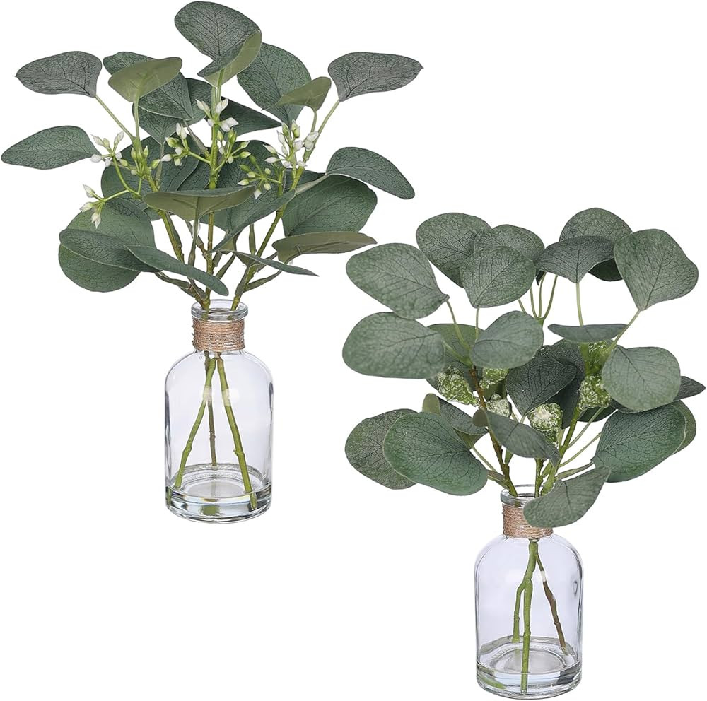 Zheart 2 Pack Small Fake Plants Eucalyptus Potted，Artificial Eucalyptus Stems in Glass Vase wit... | Amazon (US)