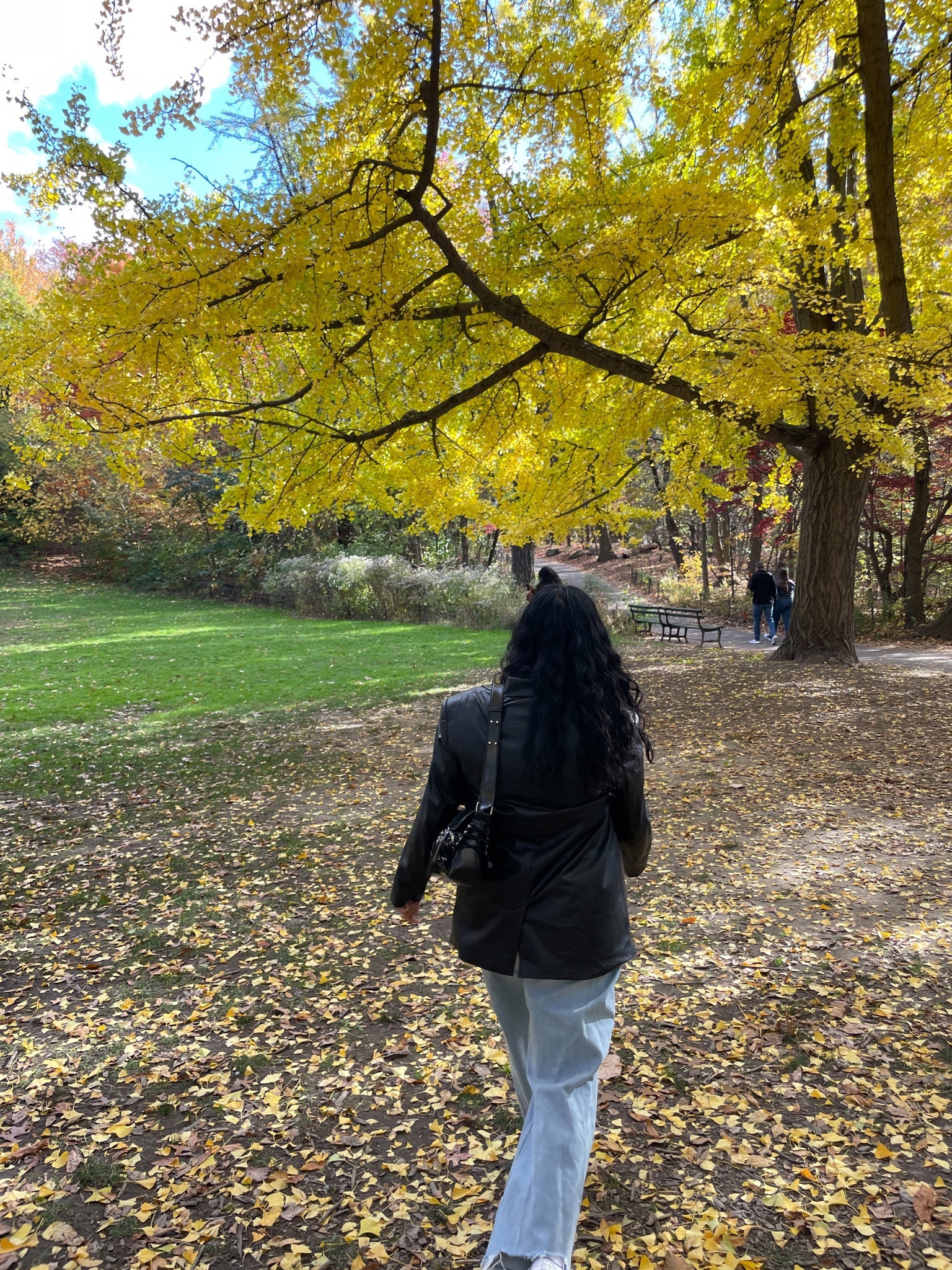 Fall in NY 

#LTKmidsize #LTKshoecrush #LTKSeasonal