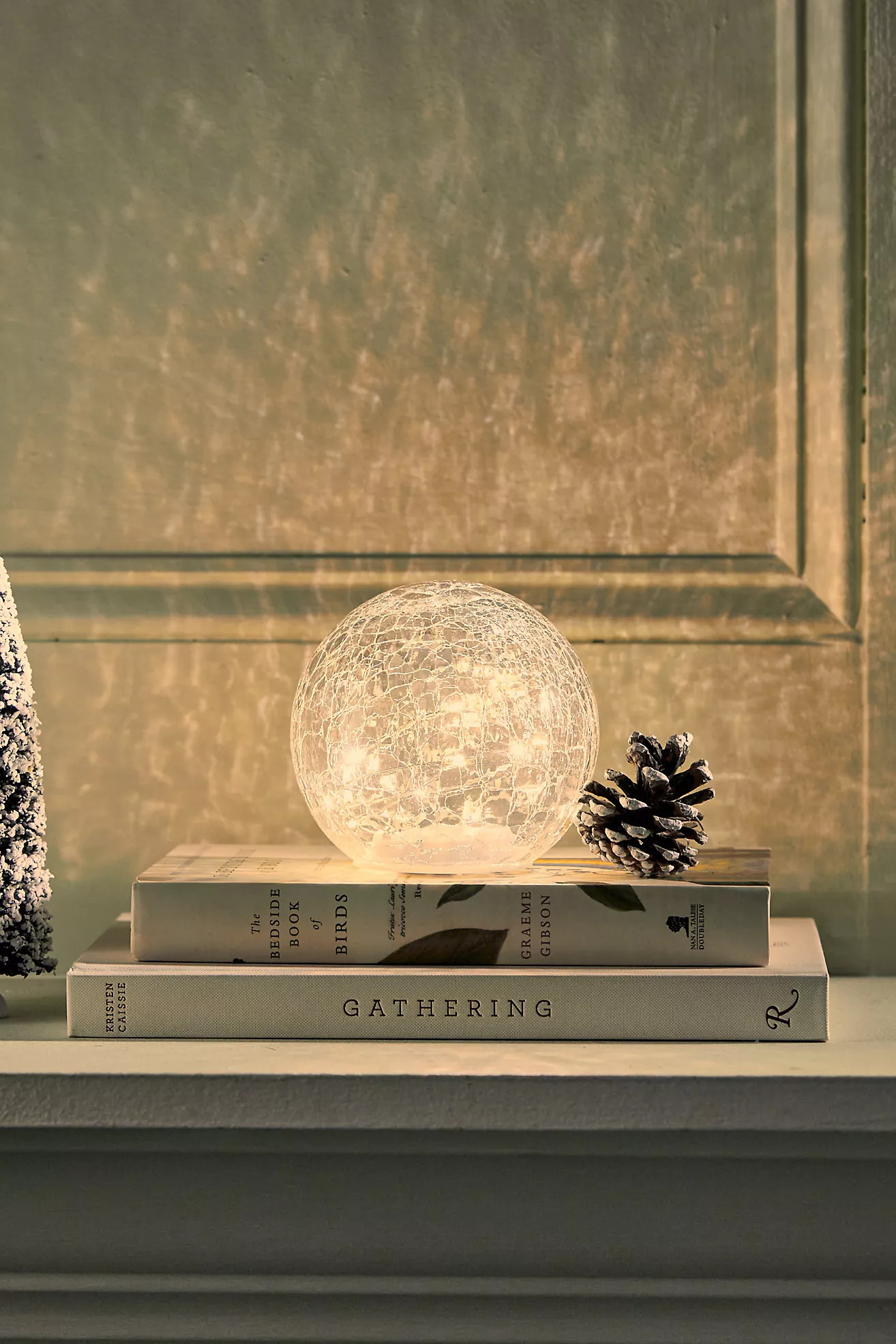 Glowing LED Sphere, Clear | Anthropologie (US)