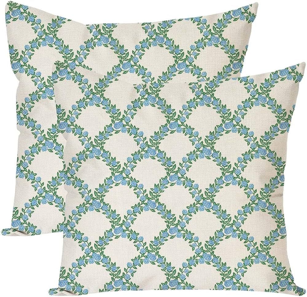 Grandmillennial Throw Pillow Covers 18x18 Inch Green and Blue Lattice Trellis Outdoor Spring Summ... | Amazon (US)