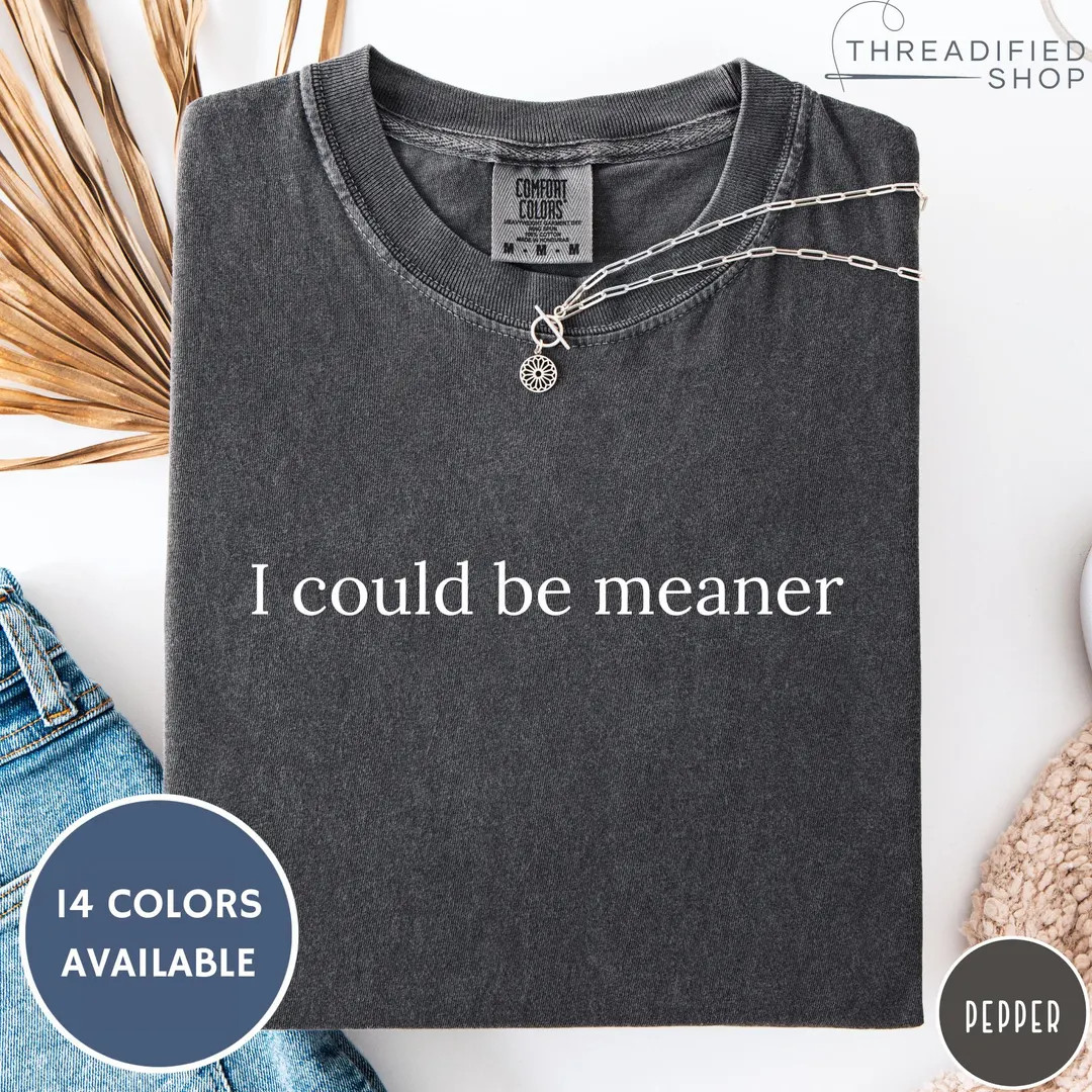 I Could Be Meaner Comfort Colors® T-shirt, Vintage T-shirt, Minimalist Oversized Shirt, Retro Gr... | Etsy (US)