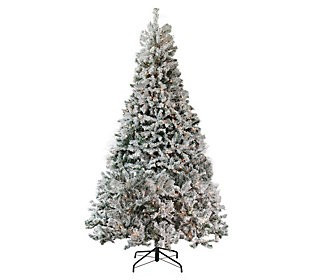 Northlight 6.5' Pre-Lit Heavily Flocked Pine Ch ristmas Tree | QVC