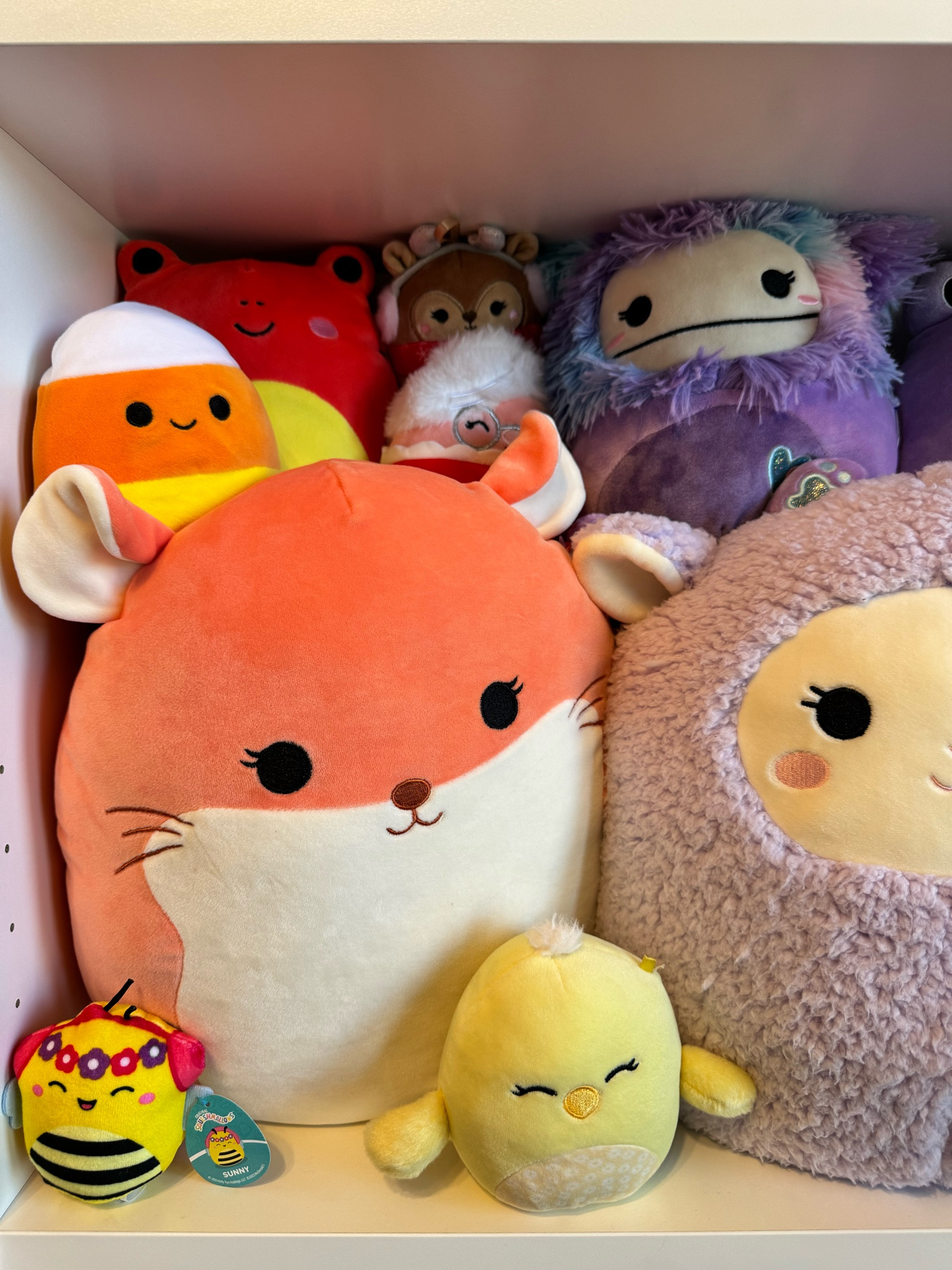 Squishmallows are a tween fav 

#LTKkids #LTKfamily