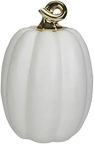 Northlight 8" White and Gold Fall Harvest Ceramic Pumpkin Decoration | Amazon (US)