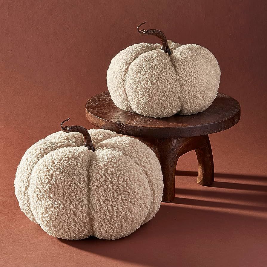 LampLust Sherpa Fabric Pumpkins for Decorating - Set of 2 Medium Plush Faux Pumpkin Decorations w... | Amazon (US)