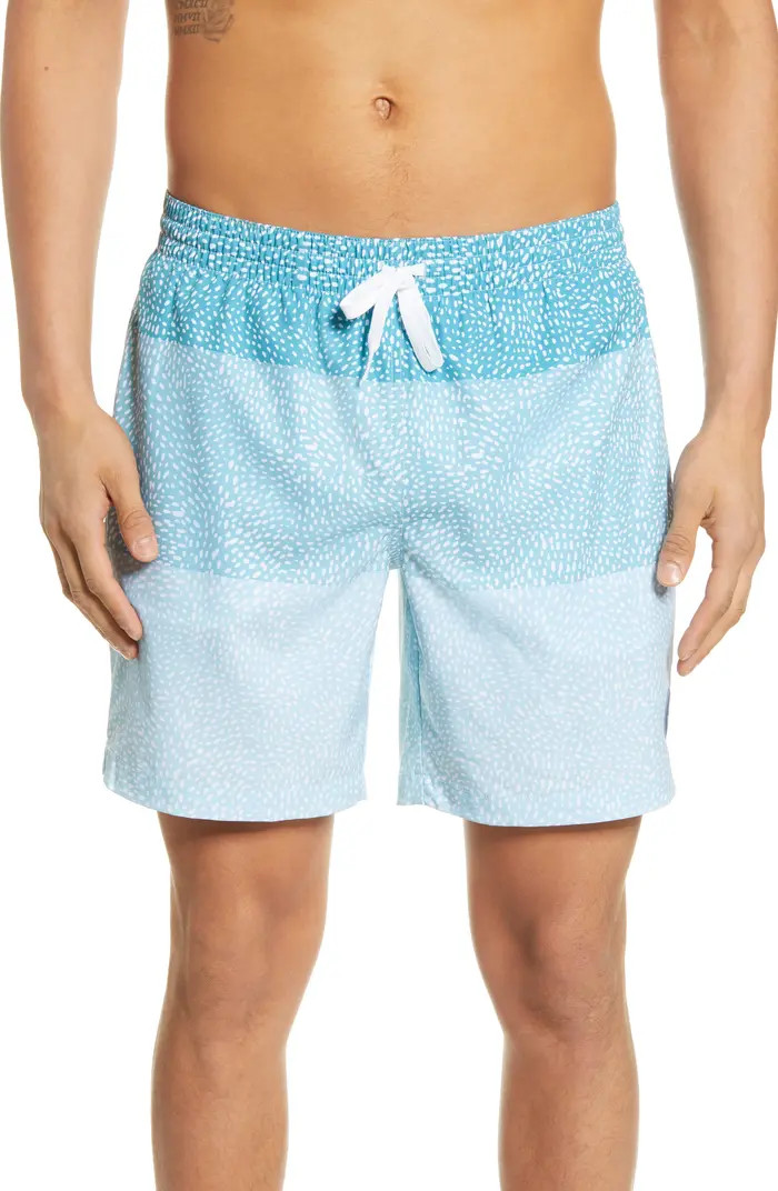The Whale Sharks 7-Inch Swim Trunks | Nordstrom
