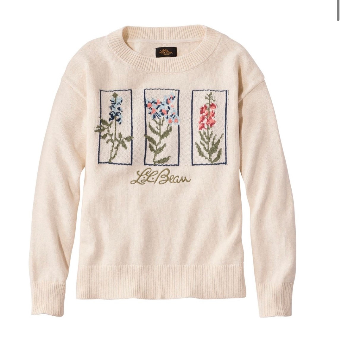 This floral sweater is also on my list too. It’s a cutie for your winter wardrobe. 

#LTKootd #LTKPetite #LTKMidsize