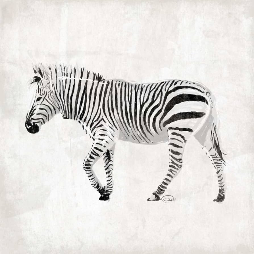 Posterazzi PDXONSQ028ALARGE Zebra Photo Print, 24 x 24, Multi | Amazon (US)