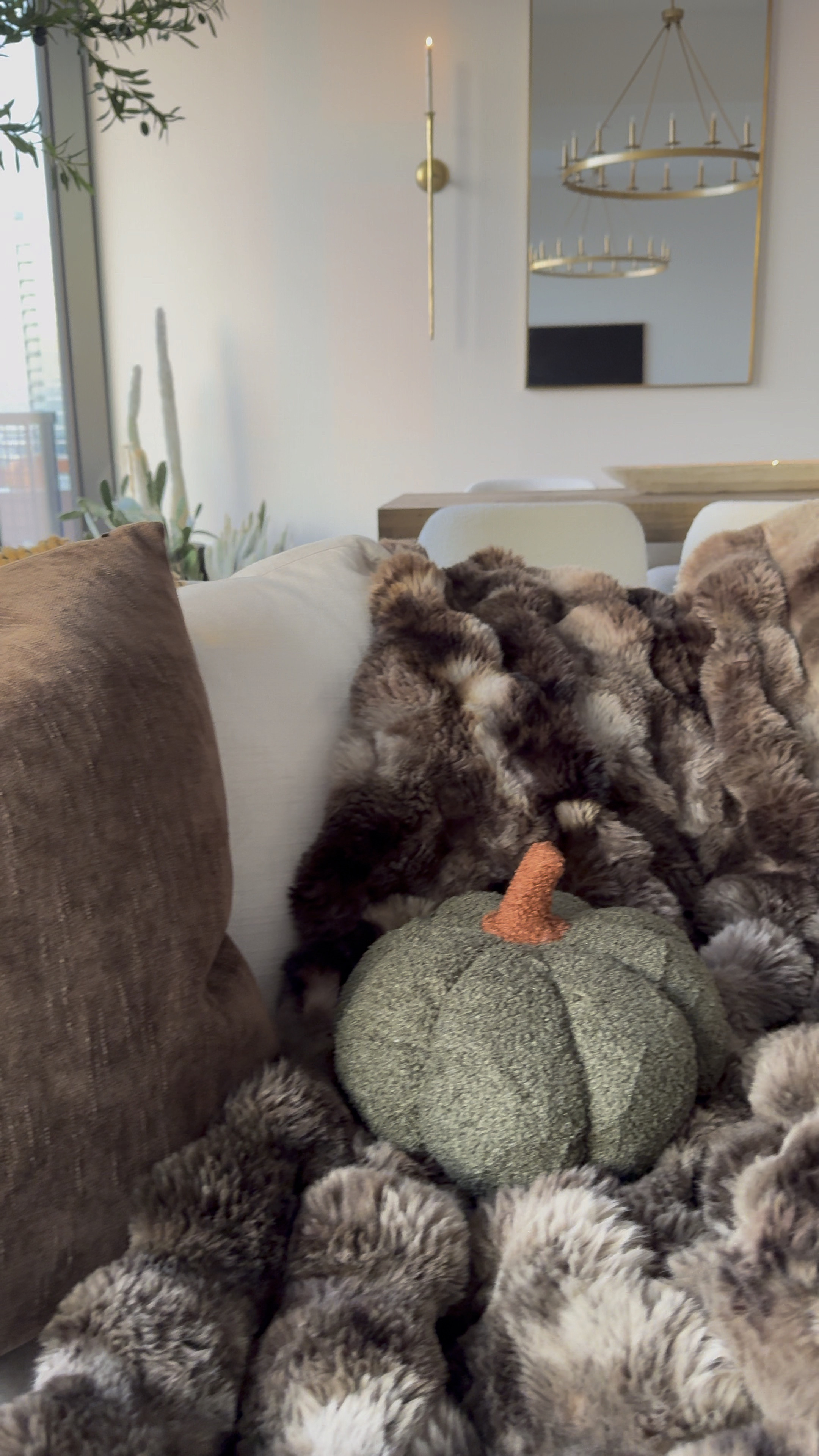 Fall pillows are so fun to add to your space! Add this cute little pillow from Amazon to take your home to the next level of coziness! 

#amazonhome
#amazonfinds
#falldecor

#LTKVideo #LTKFallSale #LTKHome