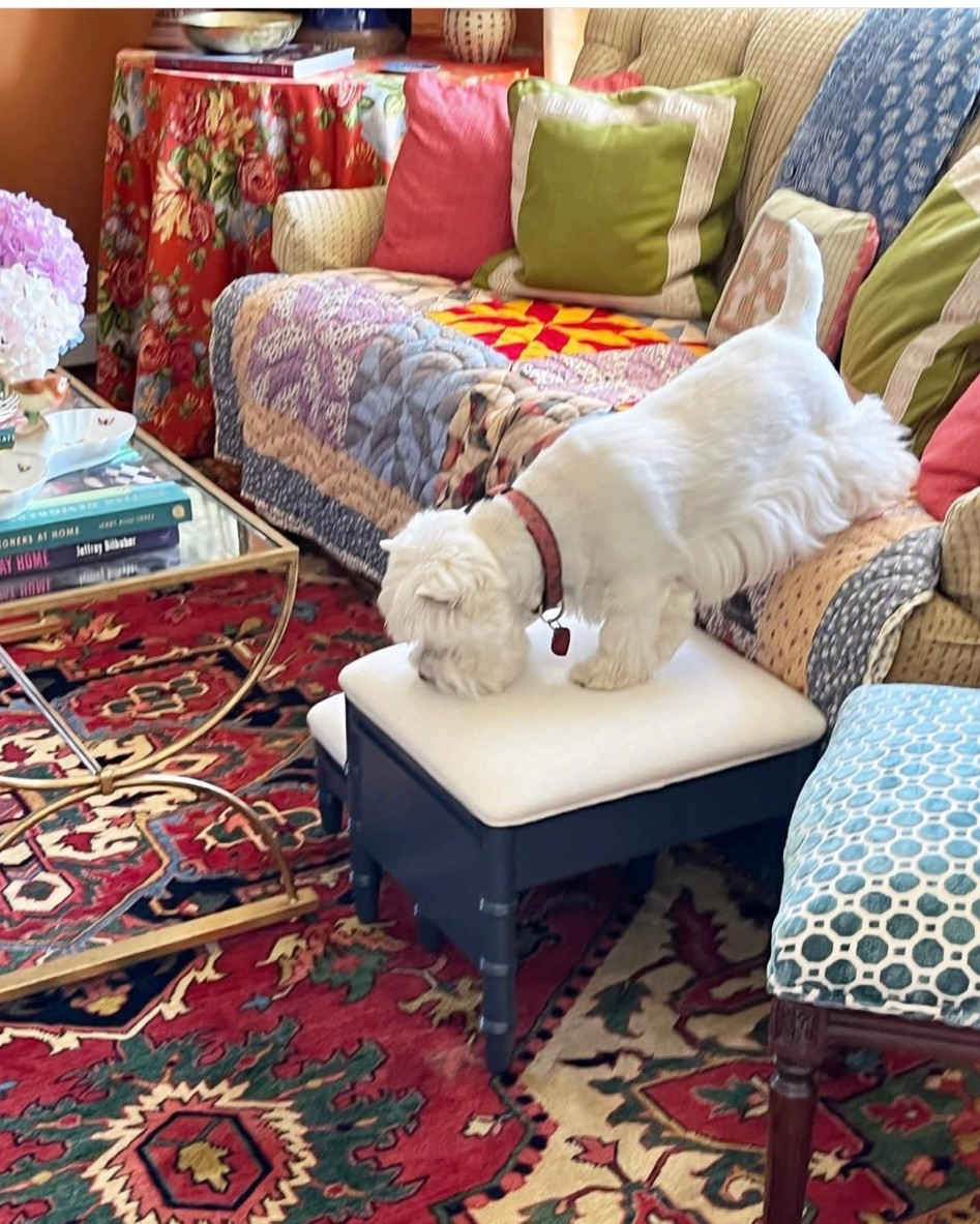 If your dog needs a lift getting up and down on furniture and beds, this Step Ottoman will let them do it on their own in style. Classic and appealing bamboo design, sturdy steps and the ability to separate each one to a free-standing stool make it an easy choice. Perfect for that special pet in your life!

#LTKGiftGuide #LTKstyletip #LTKhome