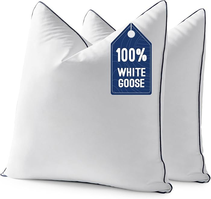 MIULEE Goose Feather Down 20x20 Pillow Insert Set of 2 with 100% Down-Proof Cotton Cover, Soft Fl... | Amazon (US)