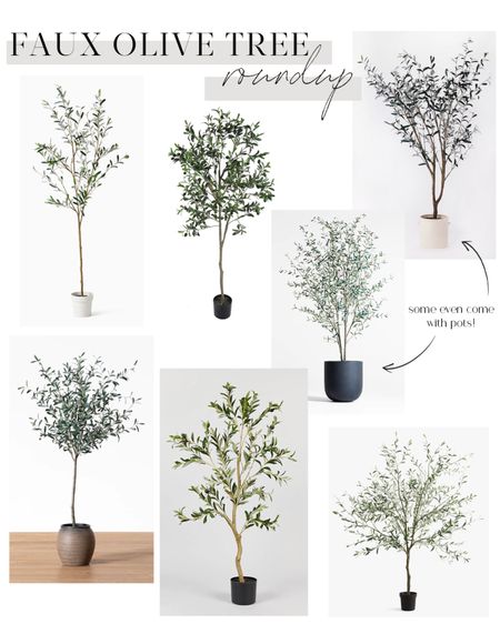Faux olive tree roundup 

When a real olive tree is too high maintenance, go for a faux olive tree! We’ve linked some of our favorites and they look like the real deal. 

Pottery barn, amazon, mcgee, crate & barrel, target, afloral, west elm, faux tree, potted faux tree, home decor. 

#LTKstyletip #LTKhome #LTKFind