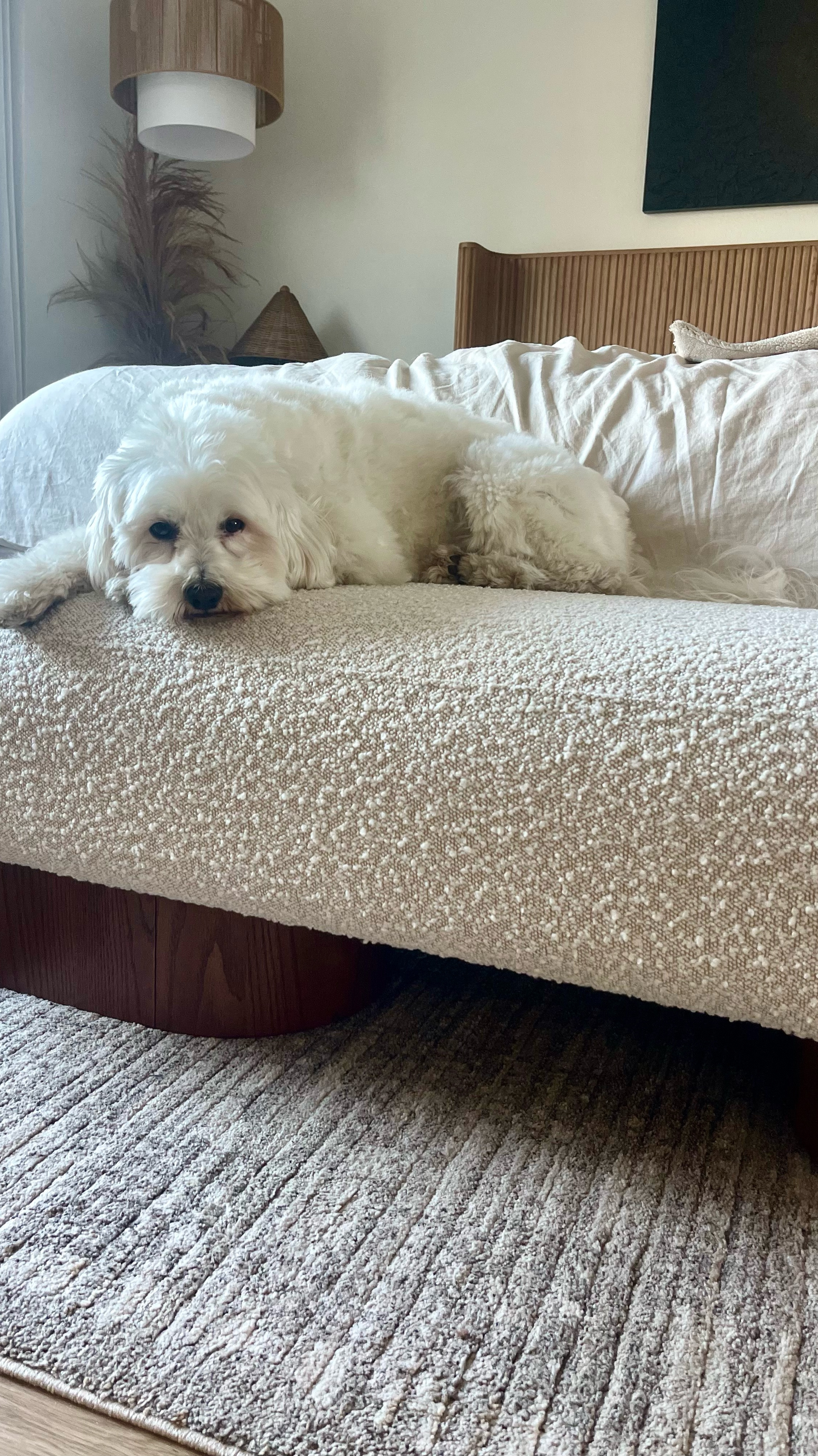 Perfect bench, just ask Hudson 🐶.  Great quality, comfortable and looks good!

#LTKHome #LTKStyleTip #LTKSaleAlert