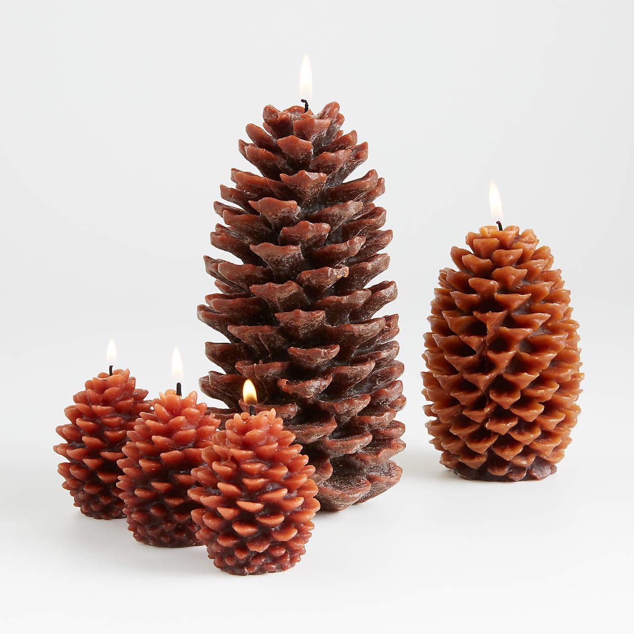Large Pinecone Candle + Reviews | Crate and Barrel | Crate & Barrel