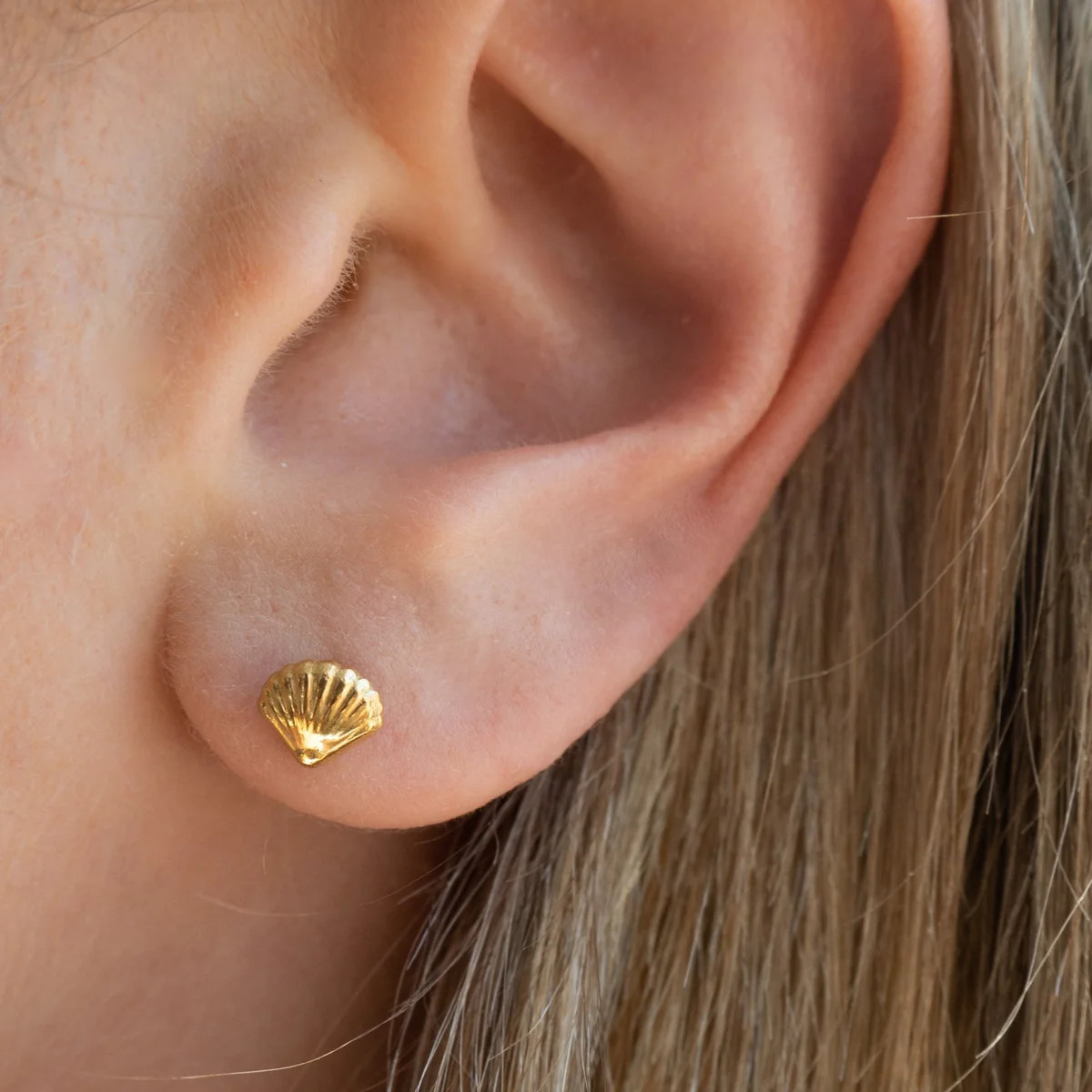 Shell Studs | Gold | JacqMaria Jewelry