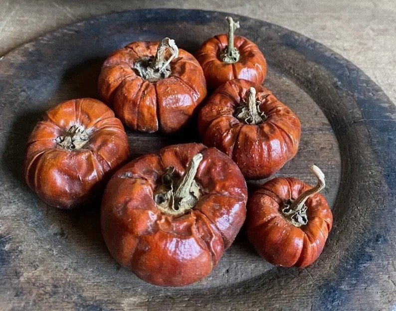 Primitive Fall Halloween Dried Mini Pepper Pumpkin Bowl Fillers Bag of 10/20/30 | Etsy (Global)