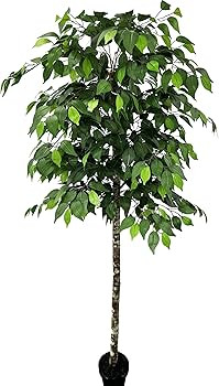 6.5' Artificial Ficus Tree, Artificial Plant, Hand-Made by Cypress & Alabaster with Real Wood Tru... | Amazon (US)