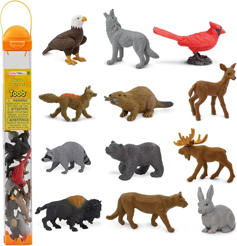 Safari Ltd. Nature TOOB - 12 Mini Figurines with Rabbit, Beaver, Doe, Gray Wolf, Fox, Black Bear,... | Amazon (US)