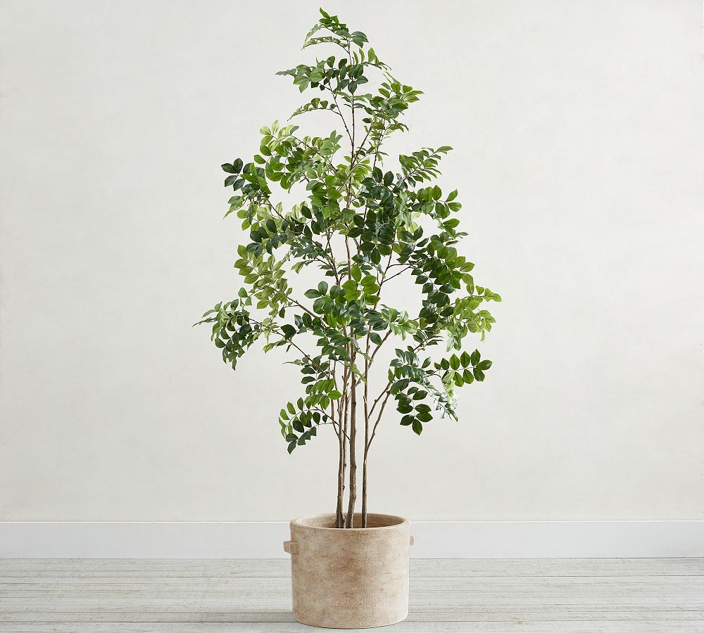 Faux Green Leaf Tree | Pottery Barn (US)