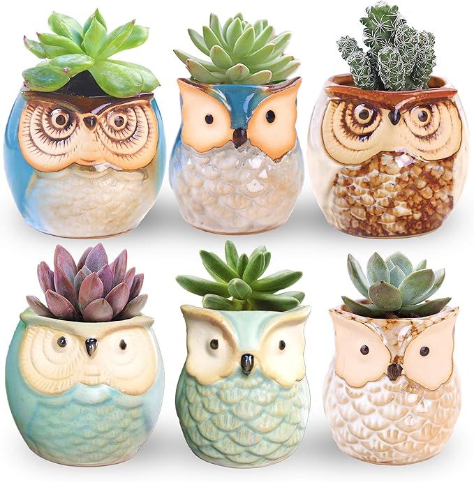ROSE CREATE 6 Pcs 2.5 Inches Owl Pots, Little Ceramic Succulent Bonsai Pots with a Hole - Pack of... | Amazon (US)