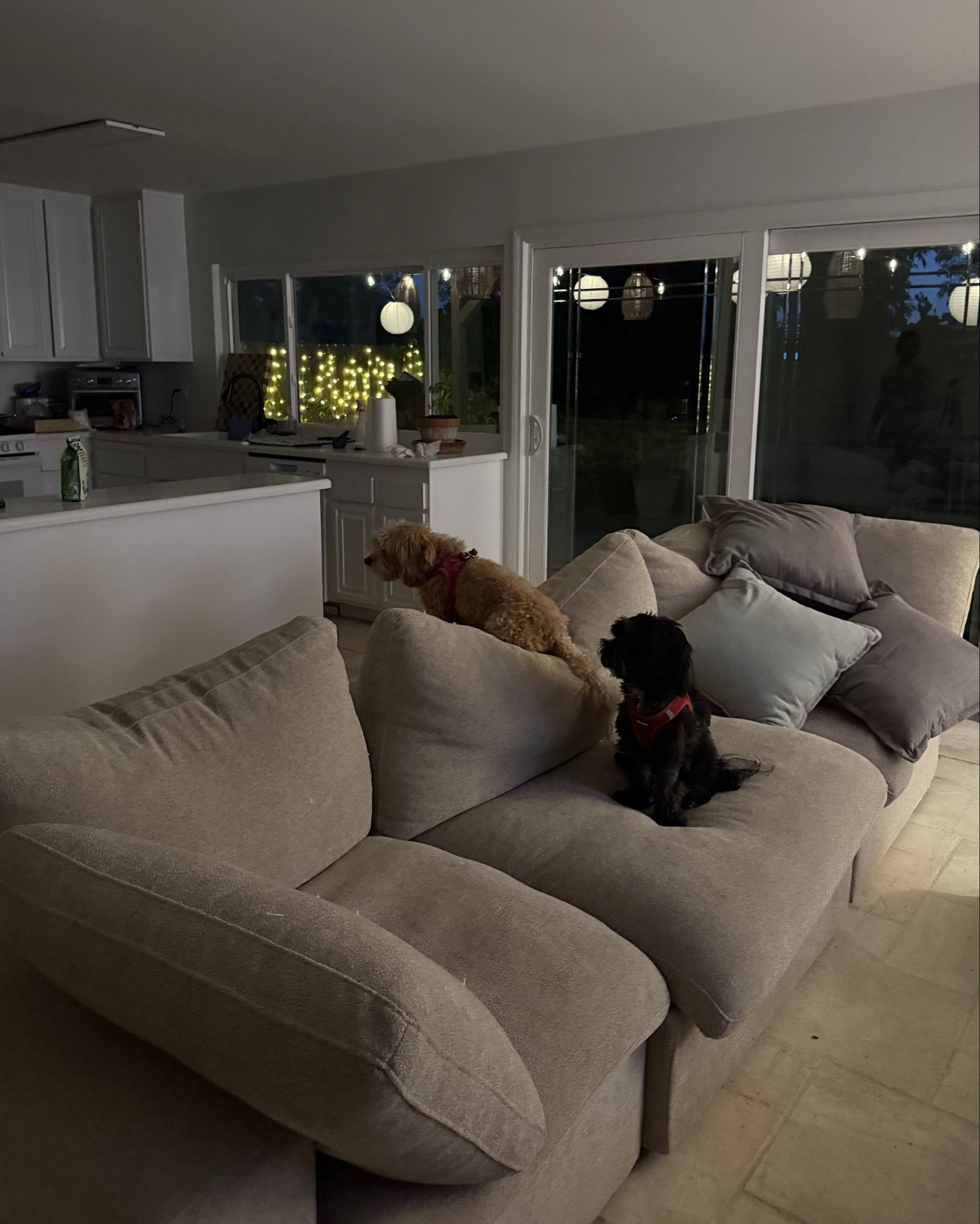 Living room cozy-ness


string lights 
chinese lanterns 

#LTKSummerEdit #LTKHome #LTKSeasonal