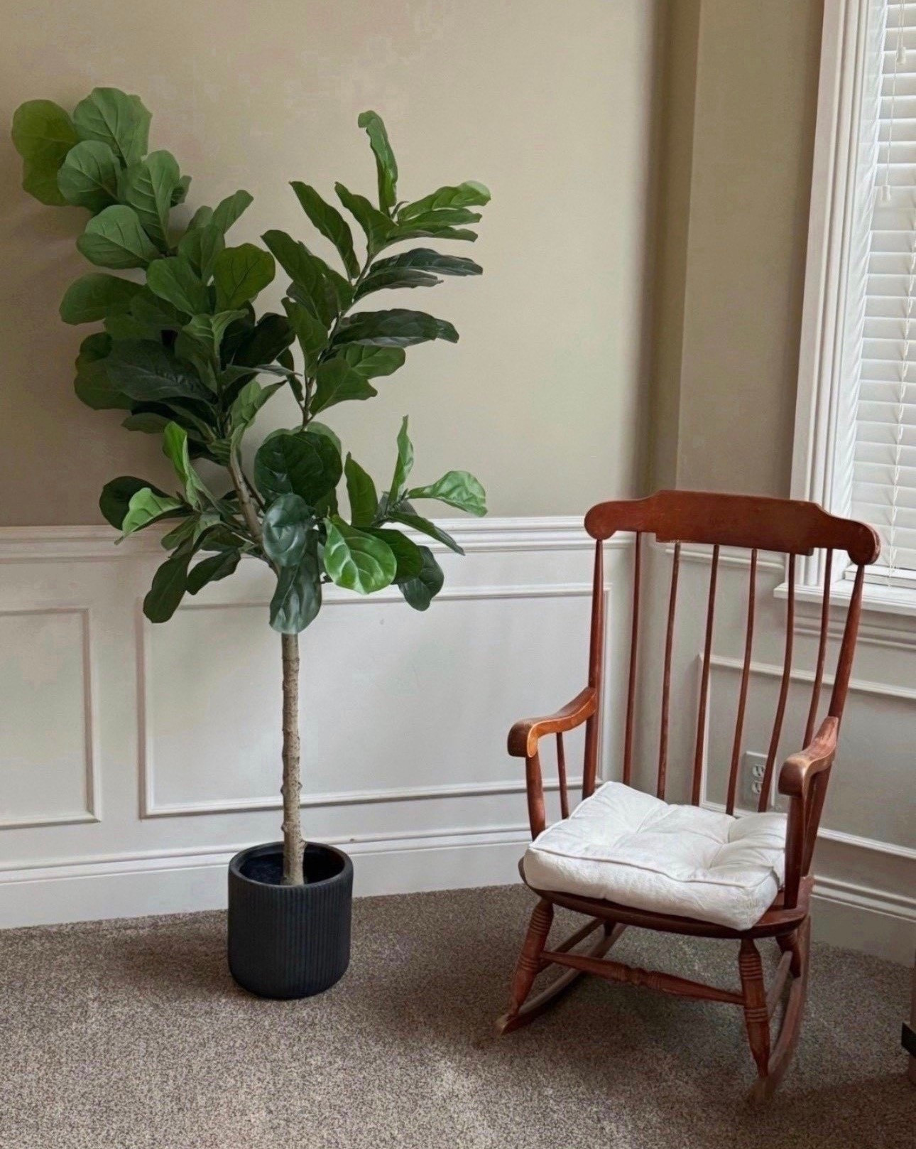 Bring the greenery indoors ✨

#LTKMothersDay #LTKselfcare #LTKdayinmylife