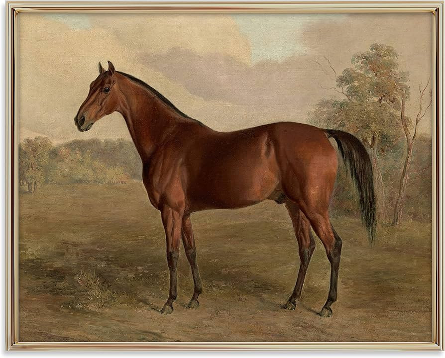 Equestrian Wall Decor - Horse Art Print for Home Decor - Antique Horse Riding Wall Artwork Decora... | Amazon (US)