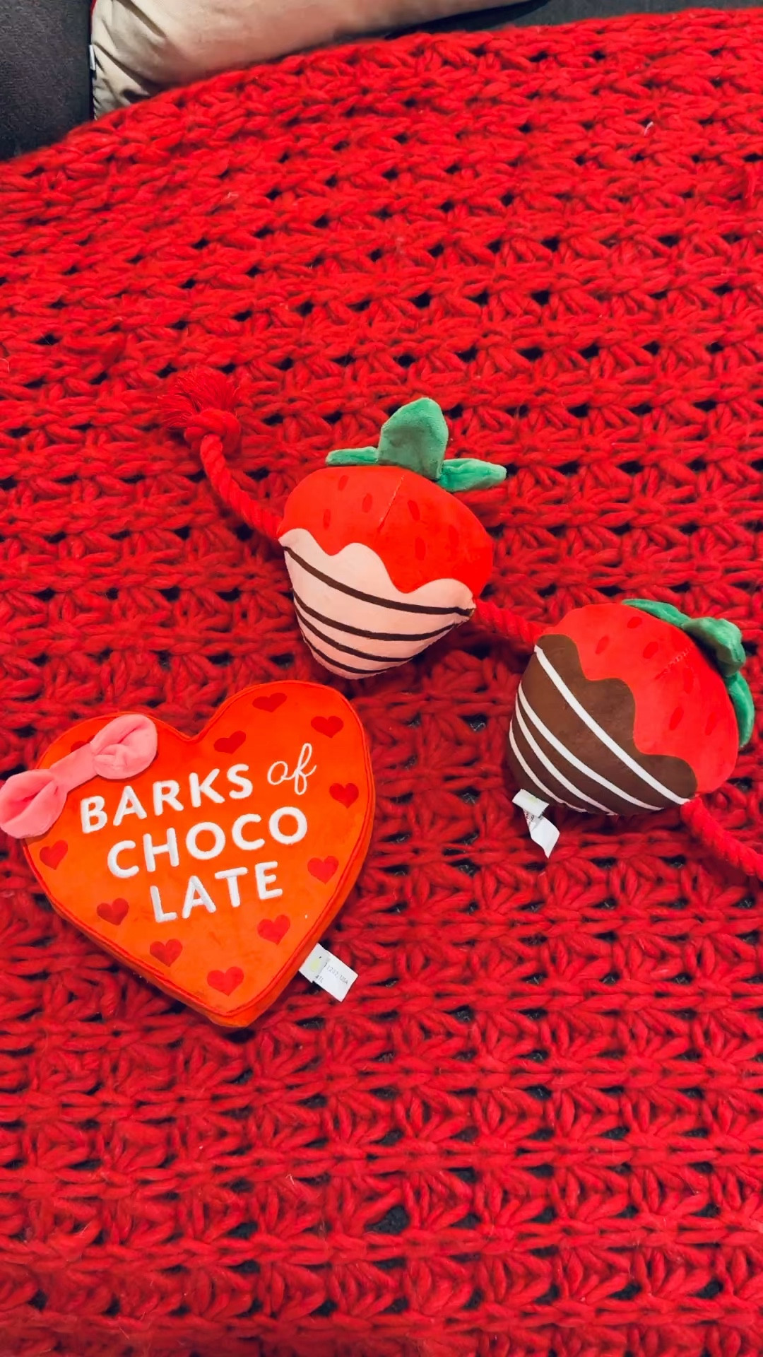 Valentine’s Day toys for Piper… duh! 

 

#LTKValentine #LTKSeasonal