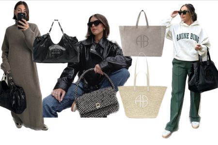 Anine Bing’s it bags. 

#LTKitbag #LTKworkwear #LTKSeasonal