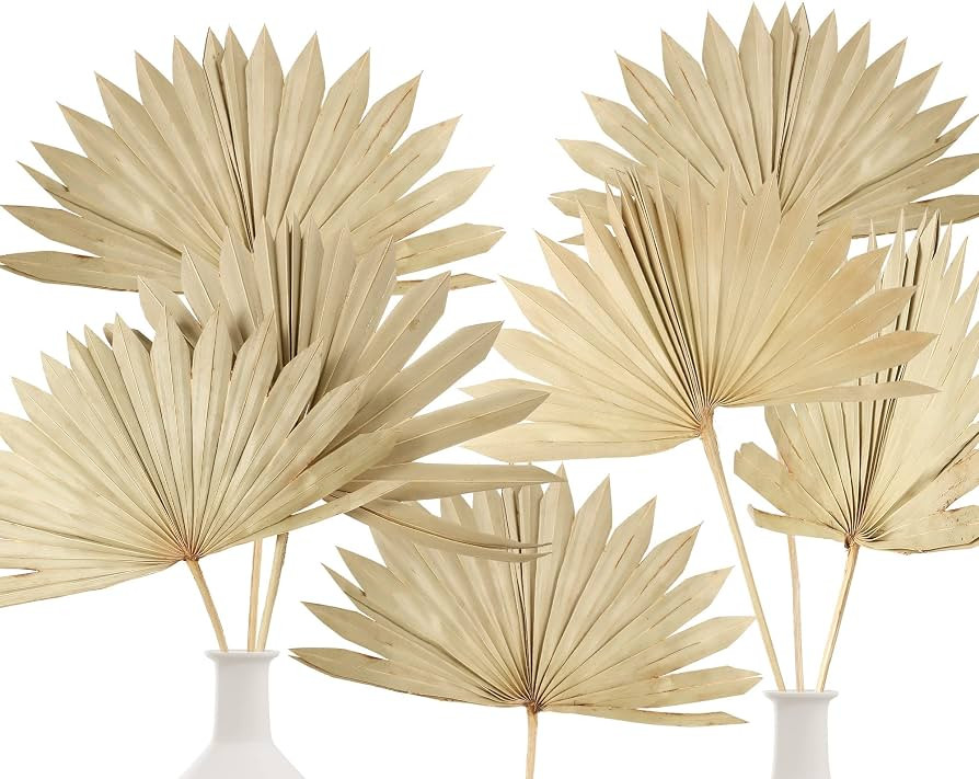 Natural Large Dried Palm Leaves Decor Dried Palm Fans Palm Boho Flowers Arrangements Dried Palm F... | Amazon (US)