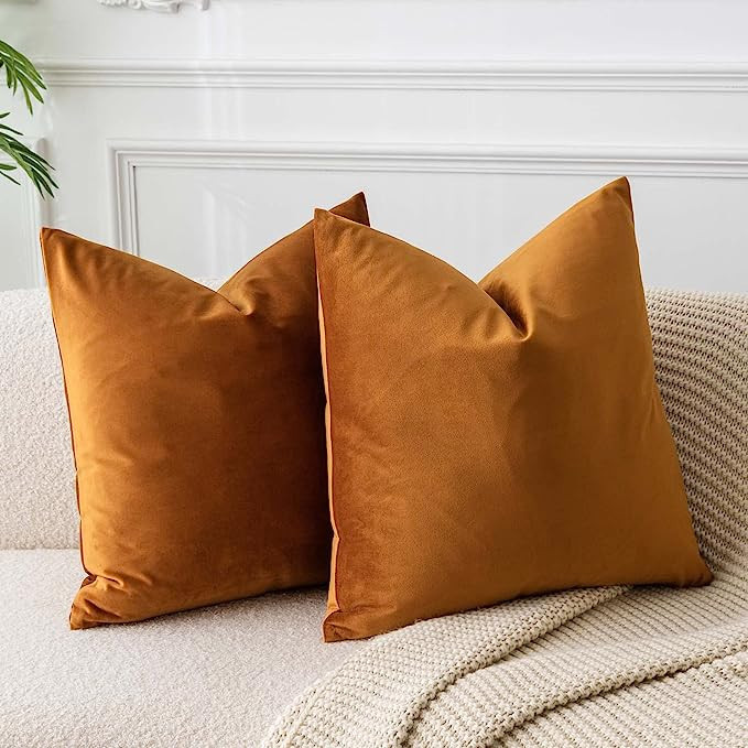 JUSPURBET Velvet Throw Pillow Covers for Sofa Couch Bed,Decorative Soft Pillow Cases Set of 2,26x... | Amazon (US)