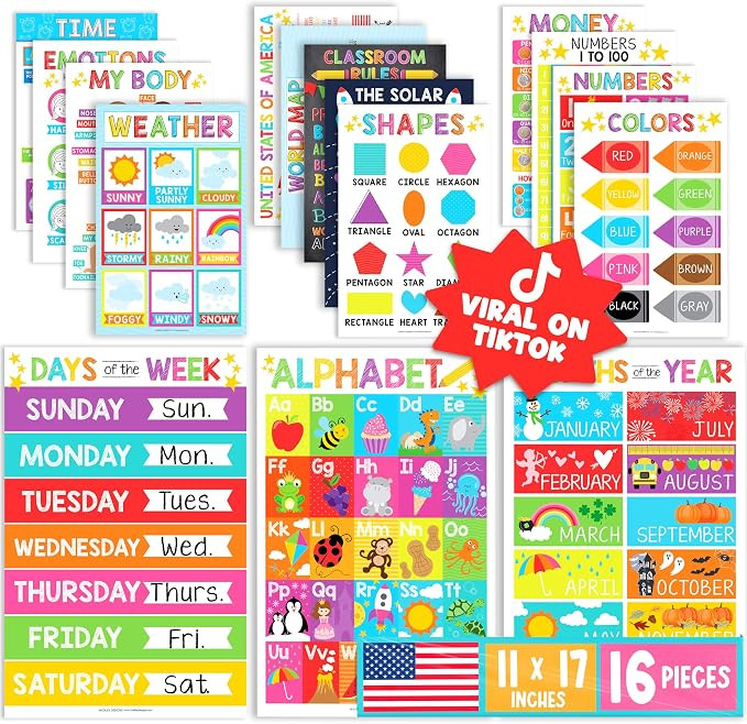 Hadley Designs 16 Educational Posters for Classroom Must Haves - Laminated Pre-K Posters for Todd... | Amazon (US)