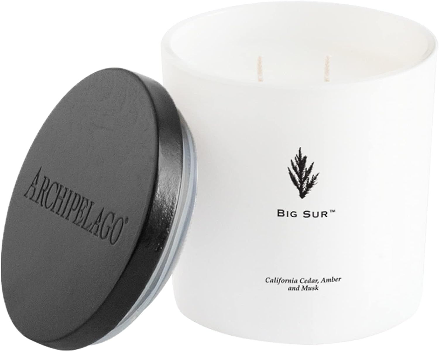 Archipelago Botanicals Big Sur Luxe Candle | California Cedar, Amber and Musk | Coconut Wax Blend... | Amazon (US)
