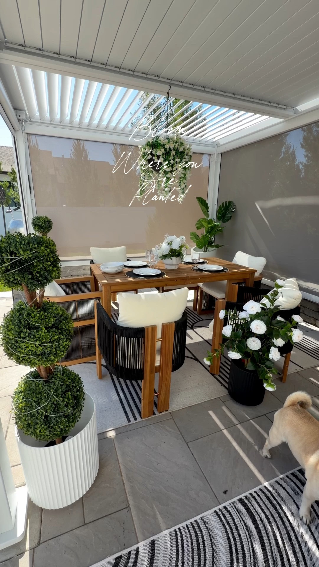Outdoor living

#LTKSeasonal #LTKU #LTKHome