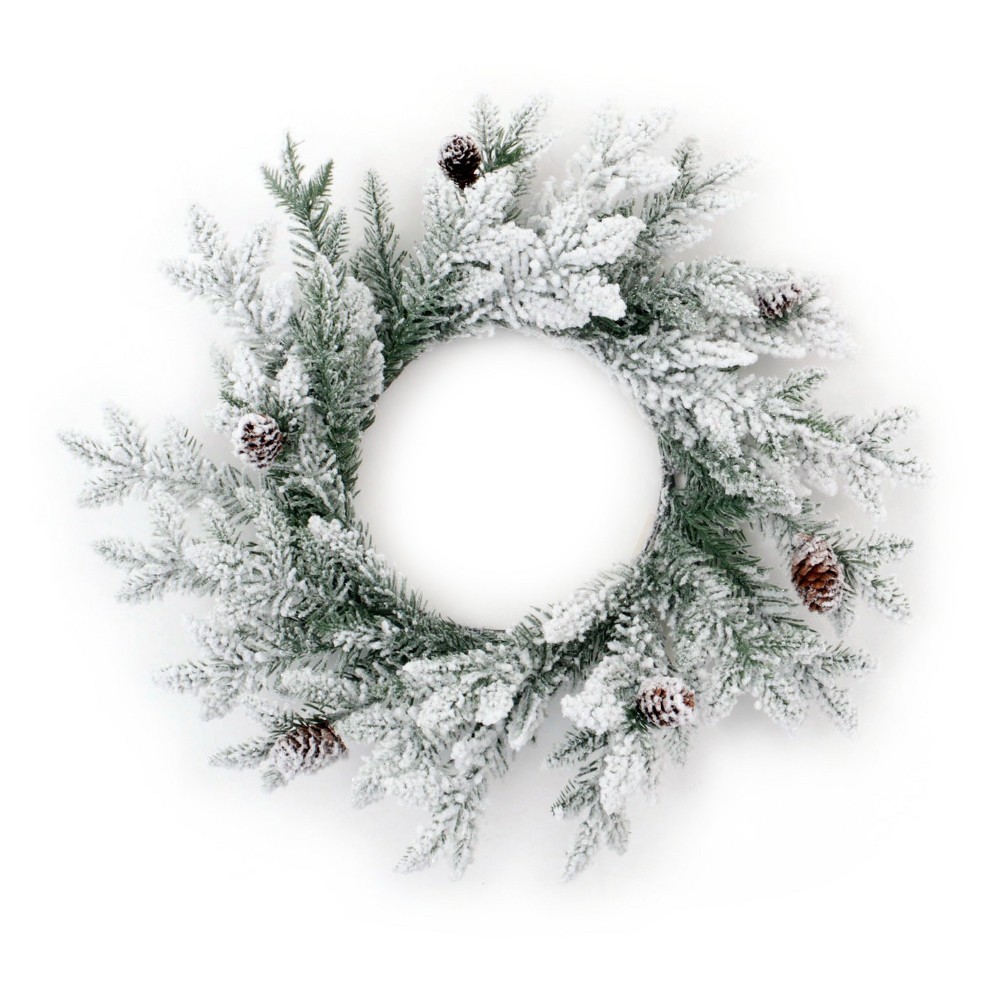 18'' Artificial Flocked Wreath - Wondershop | Target