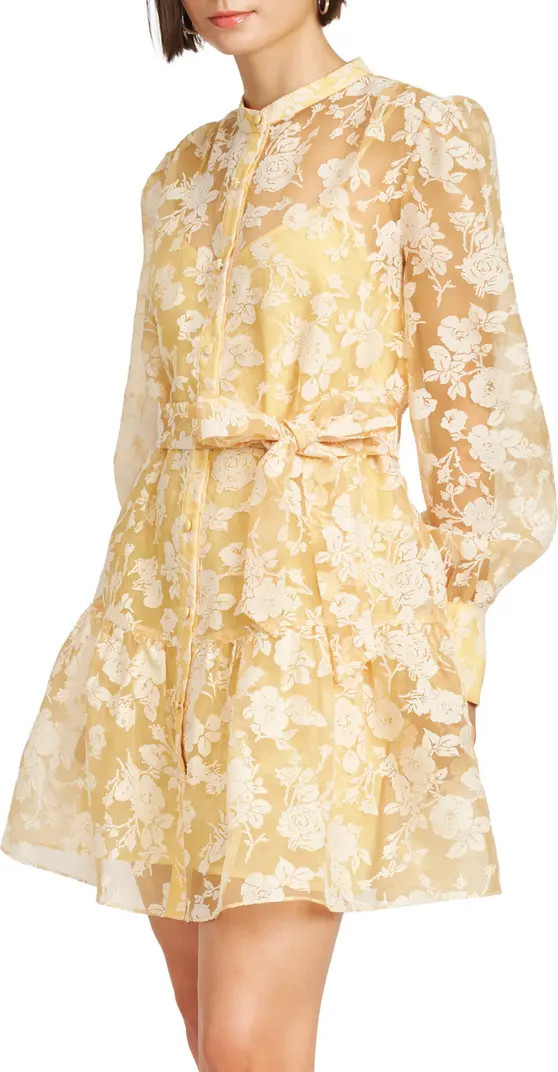 Marais Floral Long Sleeve Organza Mini Shirtdress | Nordstrom
