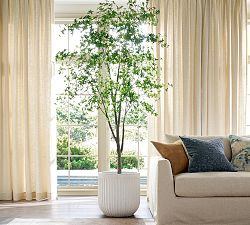 Faux Potted Gypsophilia Tree | Pottery Barn (US)