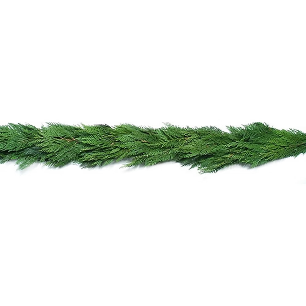 20' Live Fresh Cut Cedar Garland - National Plant Network | Target