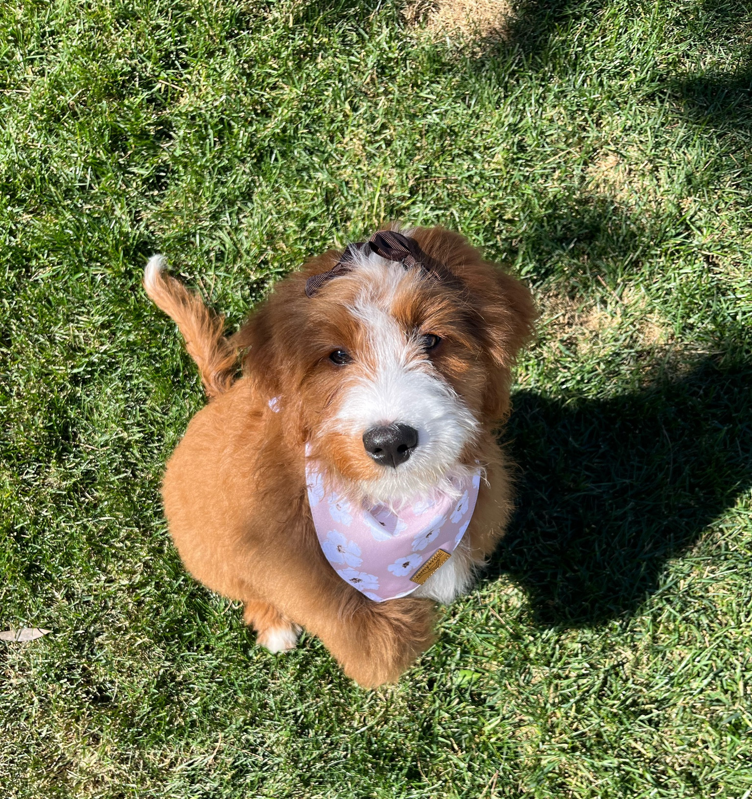 I’m literally so obsessed with her!!! 🌸🤎 

#LTKstyletip #LTKGiftGuide #LTKbaby