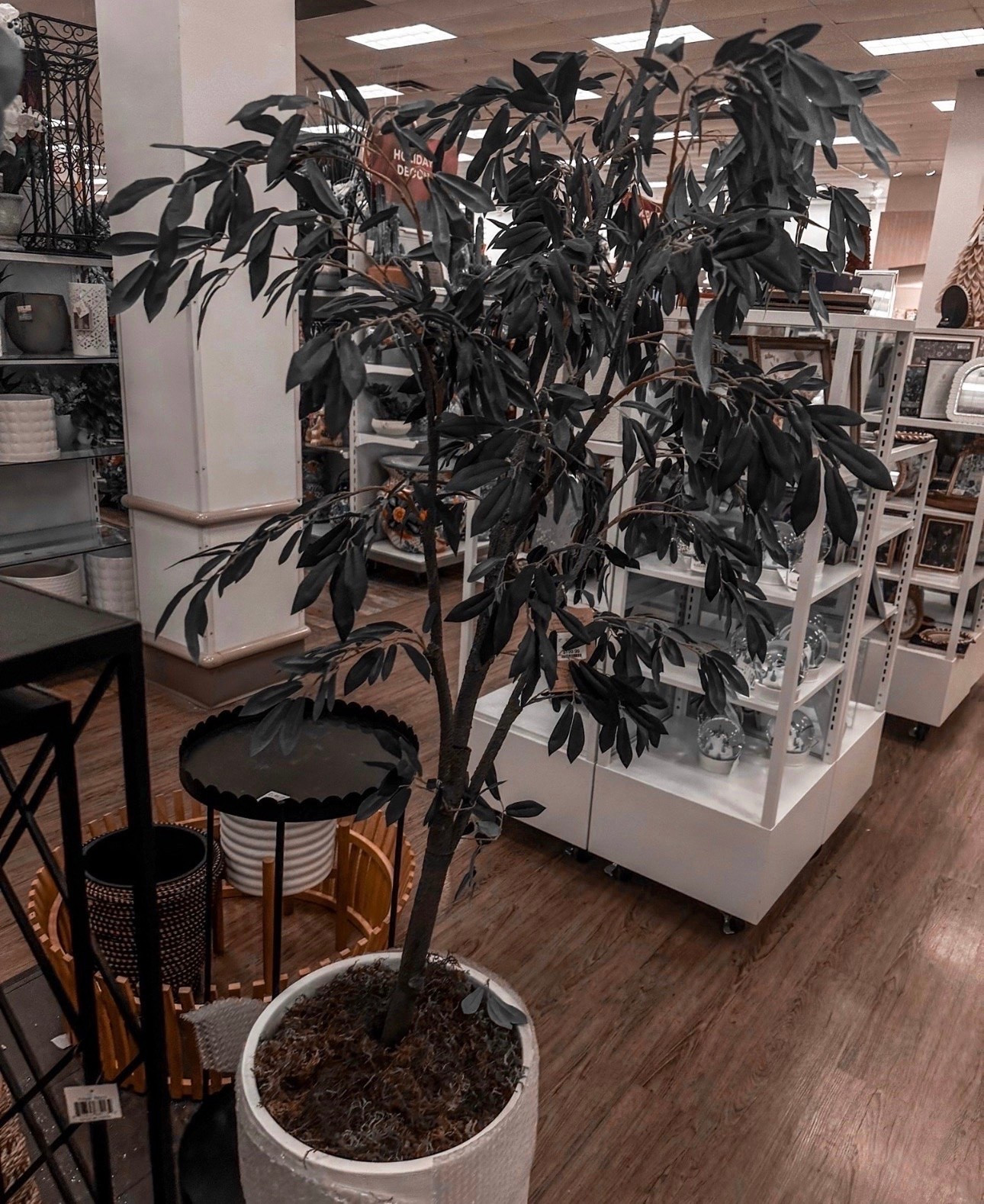 Found the perfect "forever" greenery! 🌿 This olive tree adds that high-end designer look without the maintenance. Perfect for filling that empty corner in your living room or entryway.

#LTKHome
