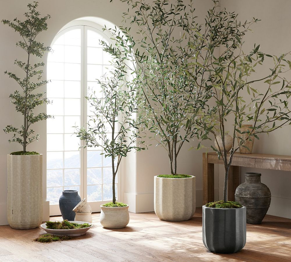 Faux Olive Trees | Pottery Barn (US)