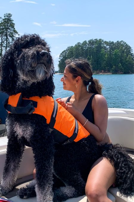 Our pup always wears this dog life jacket when we’re in a boat! #dogs

#LTKfamily #LTKfindsunder100 #LTKhome