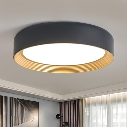 Badiegh Dimmable 15.75 Inch LED Flush Mount Ceiling Light,Modern Black and Gold Lighting Fixture,Round 36W 3000K-6500K 5CCT Ceiling Lamp for Bedroom,Hallway,Living Room | Amazon (US)